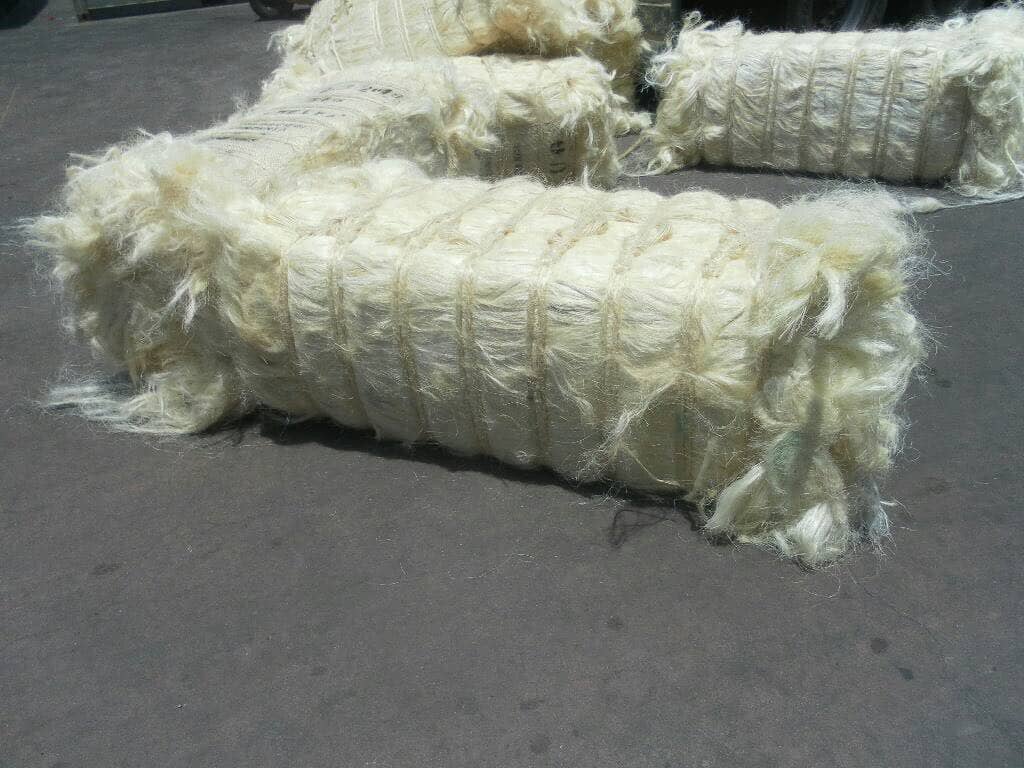 Sisal Fiber